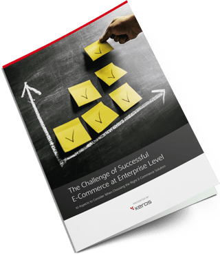 Free White Paper: The Challenge of Successful E-Commerce at Enterprise Level Free White Paper: The Challenge of Successful E-Commerce at Enterprise Level